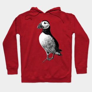 Atlantic Puffin - wild seabird - black and white animal ink illustration Hoodie